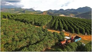 Where Our Coffee Comes From